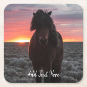 Wild Mustang Horse im Sonnenuntergang Rechteckiger Pappuntersetzer (Vorderseite)