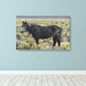 Wild Mustang Horse in der Wüste Leinwanddruck (Insitu (Holzboden))