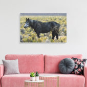 Wild Mustang Horse in der Wüste Leinwanddruck (Insitu (Wohnzimmer))