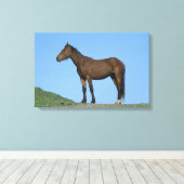 Wild Mustang Horse Leinwanddruck (Insitu (Holzboden))