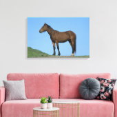 Wild Mustang Horse Leinwanddruck (Insitu (Wohnzimmer))