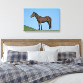 Wild Mustang Horse Leinwanddruck (Insitu (Schlafzimmer))