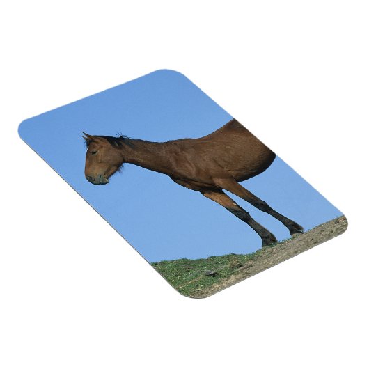 Wild Mustang Horse Magnet (Rechte Seite)