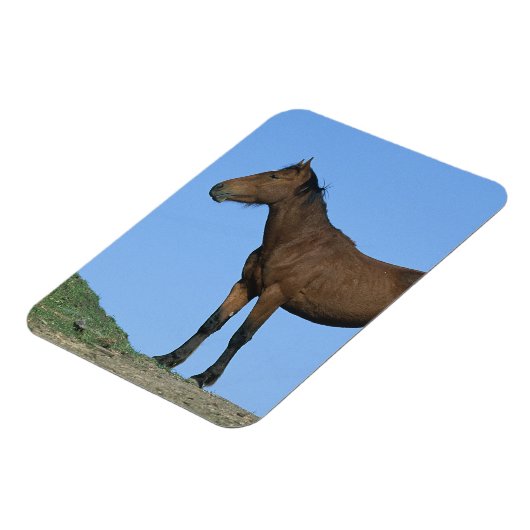 Wild Mustang Horse Magnet (Linke Seite)