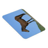 Wild Mustang Horse Magnet (Rechte Seite)