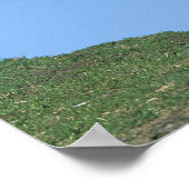 Wild Mustang Horse Poster (Ecke)