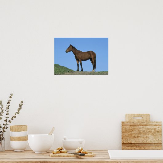 Wild Mustang Horse Poster (Küche)
