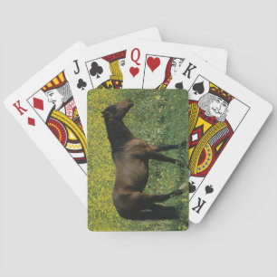 Wild Mustang Horse Standing in Flowers Spielkarten