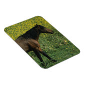 Wild Mustang Horse Stehend in Blume Magnet (Rechte Seite)