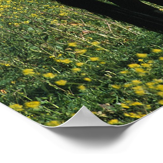 Wild Mustang Horse Stehend in Blume Poster (Ecke)