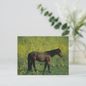 Wild Mustang Horse Stehend in Blume Postkarte (Stehend Vorderseite)