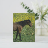 Wild Mustang Horse Stehend in Blume Postkarte (Stehend Vorderseite)