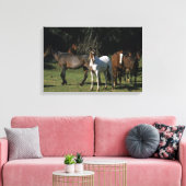 Wild Mustang Horses 1 Leinwanddruck (Insitu (Wohnzimmer))