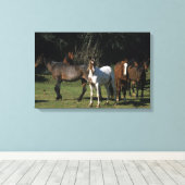 Wild Mustang Horses 1 Leinwanddruck (Insitu (Holzboden))