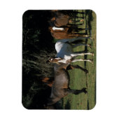 Wild Mustang Horses 1 Magnet (Vertikal)