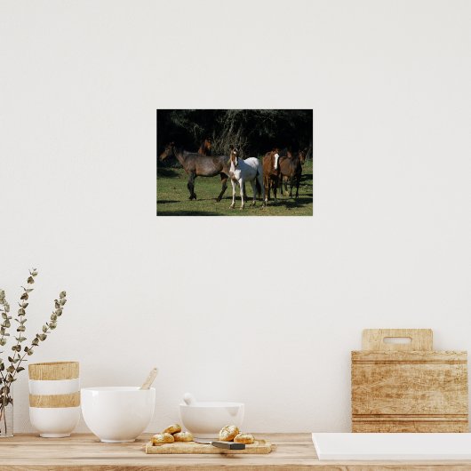 Wild Mustang Horses 1 Poster (Küche)