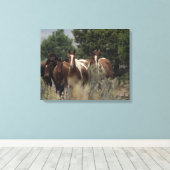 Wild Mustang Horses 2 Leinwanddruck (Insitu (Holzboden))