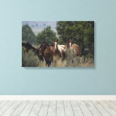 Wild Mustang Horses 2 Leinwanddruck (Insitu (Holzboden))