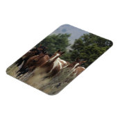 Wild Mustang Horses 2 Magnet (Linke Seite)