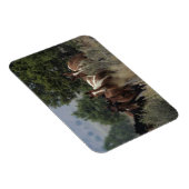 Wild Mustang Horses 2 Magnet (Rechte Seite)