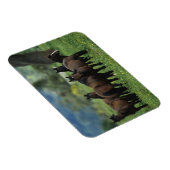 Wild Mustang Horses 3 Magnet (Rechte Seite)