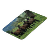 Wild Mustang Horses 3 Magnet (Linke Seite)