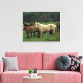 Wild Mustang Horses 4 Leinwanddruck (Insitu (Wohnzimmer))