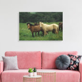 Wild Mustang Horses 4 Leinwanddruck (Insitu (Wohnzimmer))