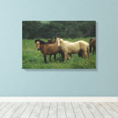 Wild Mustang Horses 4 Leinwanddruck (Insitu (Holzboden))