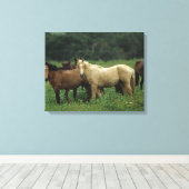 Wild Mustang Horses 4 Leinwanddruck (Insitu (Holzboden))