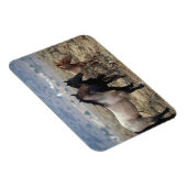 Wild Mustang Horses 5 Magnet (Rechte Seite)
