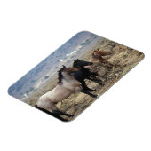 Wild Mustang Horses 5 Magnet (Linke Seite)