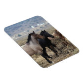 Wild Mustang Horses 5 Magnet (Rechte Seite)