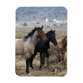 Wild Mustang Horses 5 Magnet (Vertikal)