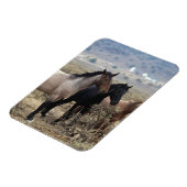 Wild Mustang Horses 5 Magnet (Linke Seite)