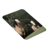 Wild Mustang Horses 6 Magnet (Rechte Seite)