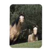 Wild Mustang Horses 6 Magnet (Vertikal)