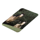 Wild Mustang Horses 6 Magnet (Linke Seite)