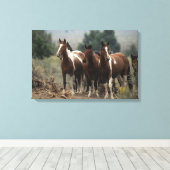 Wild Mustang Horses 7 Leinwanddruck (Insitu (Holzboden))