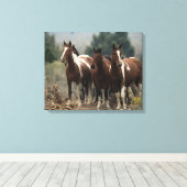 Wild Mustang Horses 7 Leinwanddruck (Insitu (Holzboden))