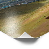 Wild Mustang Horses of Carson City, Nevada Foto (Ecke)