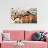 Wild Mustang Horses Touching Leinwanddruck (Insitu (Wohnzimmer))