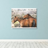 Wild Mustang Horses Touching Leinwanddruck (Insitu (Holzboden))