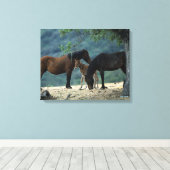 Wild Mustang Mare & Foal Leinwanddruck (Insitu (Holzboden))