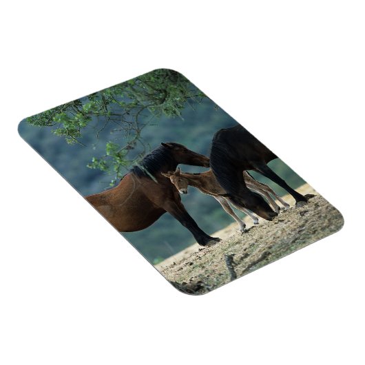 Wild Mustang Mare & Foal Magnet (Rechte Seite)