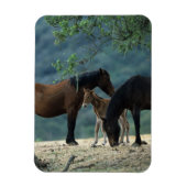 Wild Mustang Mare & Foal Magnet (Vertikal)