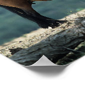 Wild Mustang Mare & Foal Poster (Ecke)