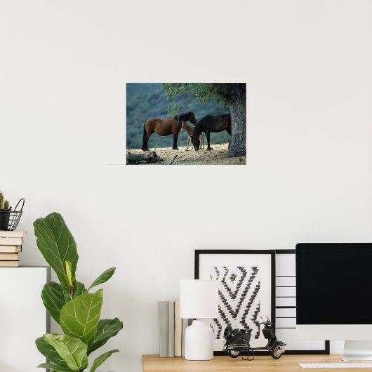 Wild Mustang Mare & Foal Poster (Heimbüro)