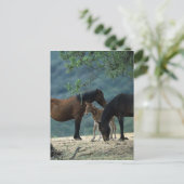 Wild Mustang Mare & Foal Postkarte (Stehend Vorderseite)