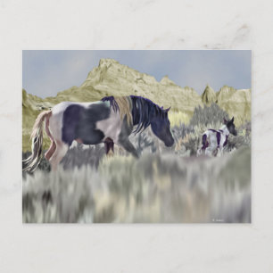 Wild Mustang Mare und Foal Postkarte